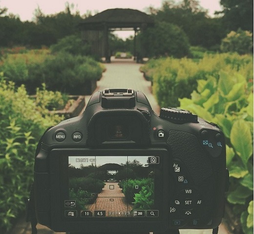 Getting ready to take a photo
